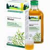 Schoenenberger Mistelsaft  200 ml - ab 6,02 €