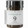 Schüssler Nr. 9 Natrium Phosphoricum D6 Tabletten 200 Stück - ab 5,23 €