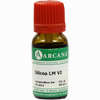Scilla Arca Lm 6 10 ml - ab 15,33 €
