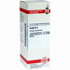 Scilla D4 Dilution DHU-Arzneimittel 20 ml - ab 8,69 €