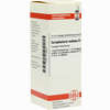 Scrophularia Nodos D3 Dilution 20 ml - ab 8,64 €