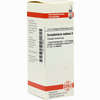 Scrophularia Nodos D6 Dilution 20 ml - ab 8,40 €