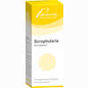 Scrophularia Similiaplex Tropfen 50 ml - ab 12,37 €