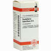 Scutellaria Lateriflora D6 Globuli 10 g - ab 7,55 €