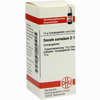 Secale Cornut D12 Globuli 10 g - ab 6,98 €