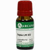 Sepia Arca Lm 12 10 ml - ab 8,68 €