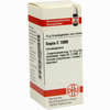 Sepia C1000 Globuli 10 g - ab 30,56 €