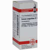 Serum Anguillae D12 Globuli 10 g - ab 6,82 €