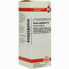 Serum Anguillae D6 Dilution 20 ml - ab 7,60 €