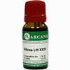 Silicea Arca Lm 24 10 ml - ab 10,92 €