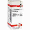 Silicea C10 Globuli 10 g - ab 6,98 €
