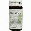 Silicea Phcp Globuli 20 g - ab 7,81 €