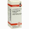 Sinapis Nigra D6 Globuli 10 g - ab 7,55 €