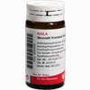 Skorodit Kreislauf Globuli Velati  20 g - ab 7,18 €