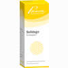 Solidago Similiaplex Tropfen 50 ml - ab 14,25 €
