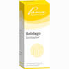 Solidago Similiaplex Tropfen 100 ml - ab 22,07 €