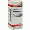 Solidago Virga C30 Globuli 10 g - ab 7,84 €