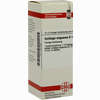 Solidago Virga D 1 Dilution 20 ml - ab 9,30 €