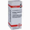 Solidago Virga D 1 Globuli 10 g - ab 7,55 €