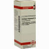 Solidago Virga D12 Dilution 20 ml - ab 8,69 €