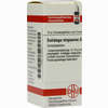 Solidago Virga D12 Globuli 10 g - ab 7,55 €