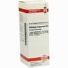 Solidago Virga D6 Dilution 20 ml - ab 8,69 €