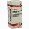 Solidago Virga D6 Globuli 10 g - ab 7,55 €