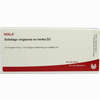 Solidago Virga Ex Herb D3 Ampullen 10 x 1 ml - ab 19,41 €