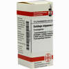 Solidago Virgaurea D8 Globuli 10 g - ab 8,94 €