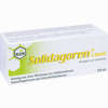 Solidagoren Liquid Tropfen 100 ml - ab 21,44 €