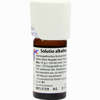 Solutio Alkalina 5% Dilution 20 ml - ab 12,15 €
