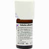 Solutio Alkalina 5% Dilution 20 ml - ab 13,37 €