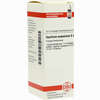 Spartium Scoparium D2 Dilution 20 ml - ab 11,50 €