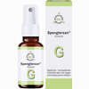 Spenglersan Kolloid G Einreibung 20 ml