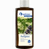 Spitzner Saunaaufguss Holunder- Cassis Wellness Konzentrat 190 ml - ab 11,21 €