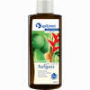 Spitzner Saunaaufguss Ingwer- Limette Konzentrat 190 ml - ab 11,21 €