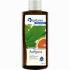 Spitzner Saunaaufguss Salbei- Grapefruit Wellness Konzentrat 190 ml - ab 15,93 €