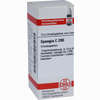 Spongia C200 Globuli 10 g - ab 12,35 €