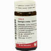 Spongia Comp Globuli 20 g - ab 7,18 €
