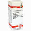 Spongia D12 Globuli 10 g - ab 6,98 €