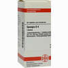 Spongia D4 Tabletten 80 Stück - ab 7,84 €