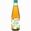Stangensellerie Bio- Saft Schoenenberger  330 ml - ab 3,98 €