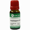 Staphisagria Arca Lm 12 10 ml - ab 8,55 €