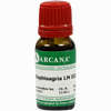 Staphisagria Arca Lm 30 10 ml - ab 10,92 €