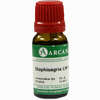 Staphisagria Arca Lm 6 10 ml - ab 9,64 €