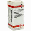 Staphisagria D6 Globuli 10 g - ab 6,86 €