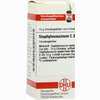 Staphylococcinum C30 Globuli 10 g - ab 7,27 €