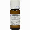 Stibium Arsenicosum D8 Dilution 50 ml - ab 27,64 €