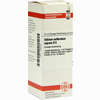 Stibium Sulfuratum Nigrum D6 Dilution 20 ml - ab 7,84 €