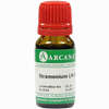 Stramonium Arca Lm 18 10 ml - ab 10,99 €